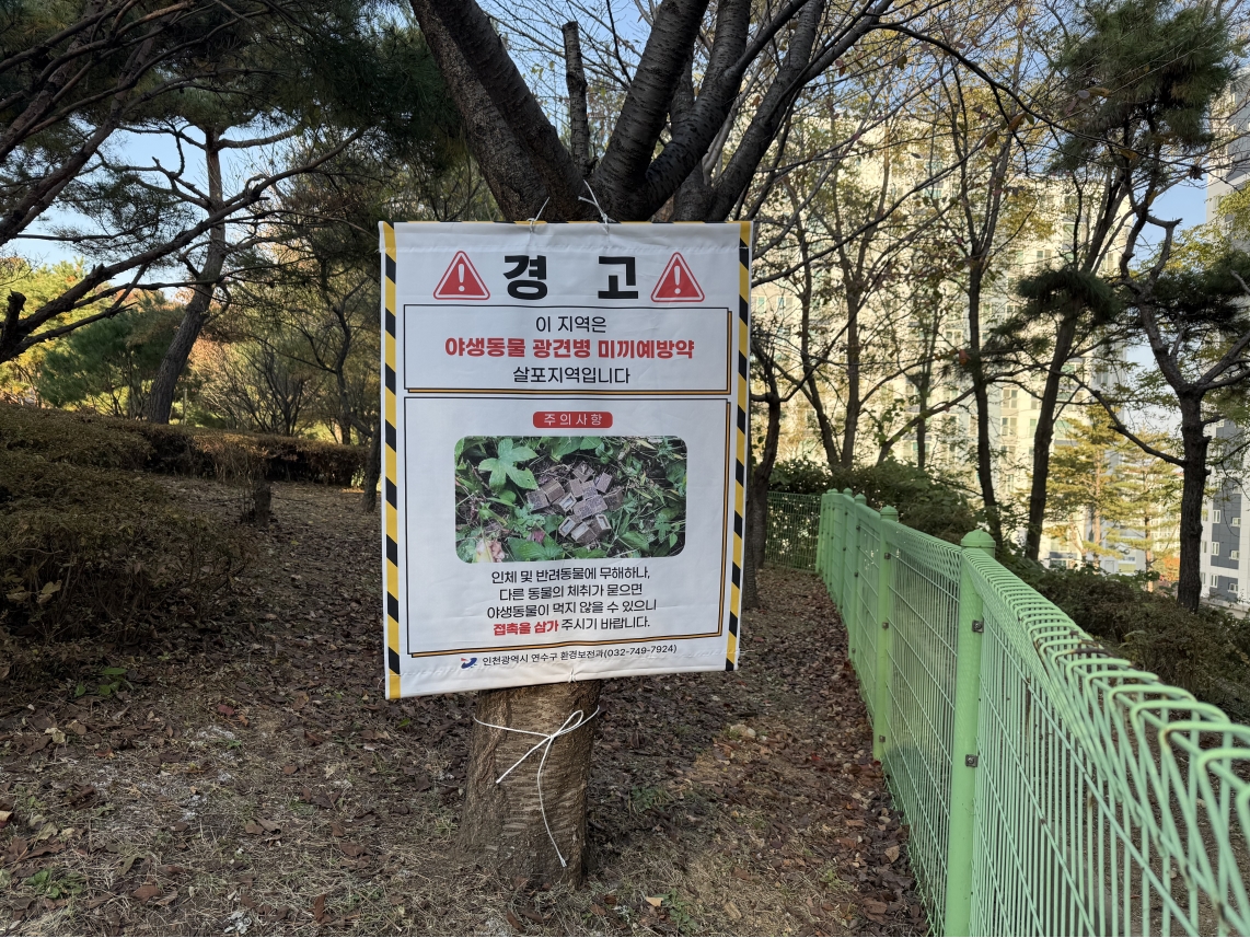 연수구는 야생동물에 의한 광견병 확산을 예방하고 구민의 안전한 보행환경을 조성하기 위해 오는 23일부터 약 2주간 관내 주요 공원과 녹지 등 너구리 출몰지에 광견병 미끼예방약을 살포한다